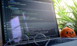 Featured image of post 算法设计与分析