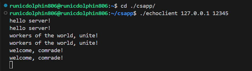 客户端输出结果