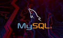 Featured image of post 数据库系统