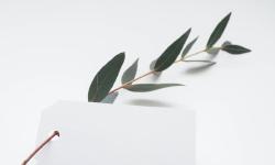 Featured image of post Minecraft服务器